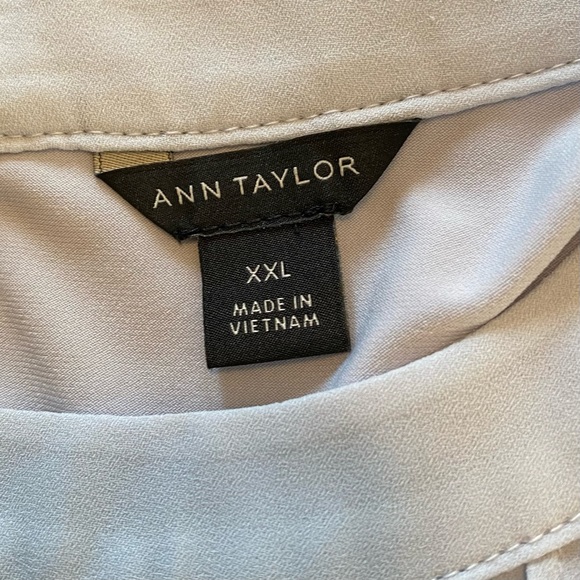 Ann Taylor Light Blue Flowy Chiffon Blouse with Pleated Front | Size XXL - Picture 6 of 8